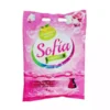 Detergente SOFIA PRINCES 1 Detergente en polvo multiusos fragancia limón SOFIA PRINCESS (1 Kg)