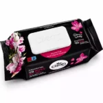 Toallitas Húmedas CLEAN EASE Sin Alcohol con Tapa (120 uds)